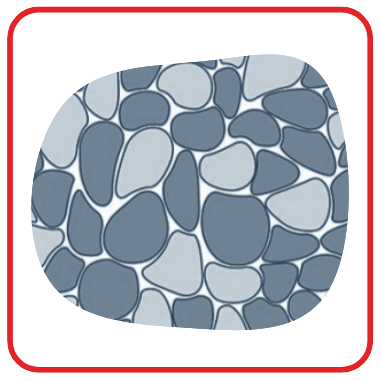 Fiber Type